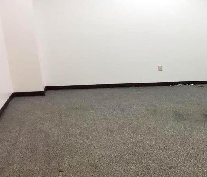 dried carpeting after water damage event